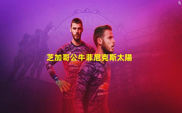 芝加哥公牛菲尼克斯太陽